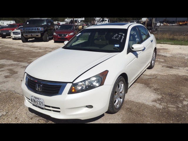 BUY HONDA ACCORD SDN 2010 4DR V6 AUTO EX-L, Greater Lufkin Auto Auction
